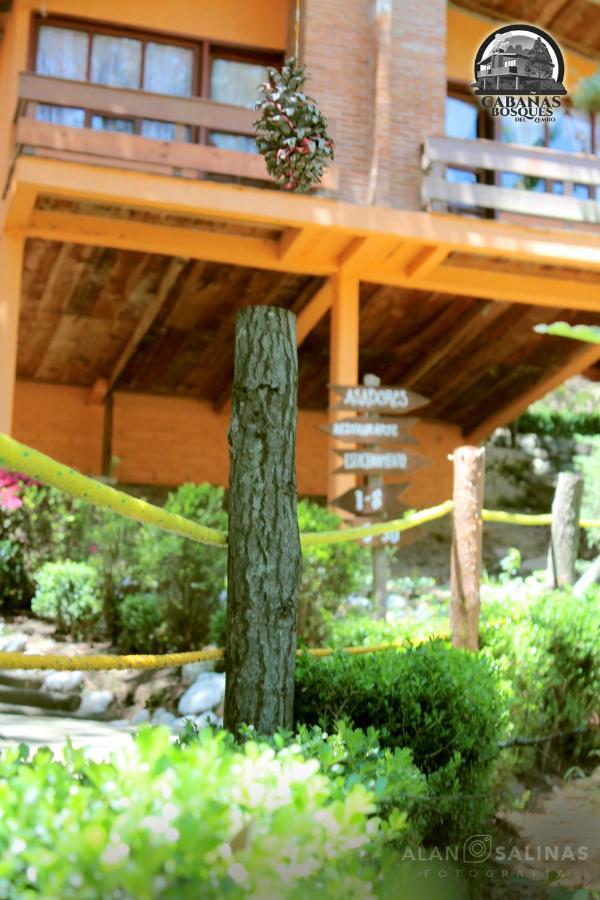 Cabanas Los Bosques Del Zembo ウアスカ・デ・オカンポ エクステリア 写真