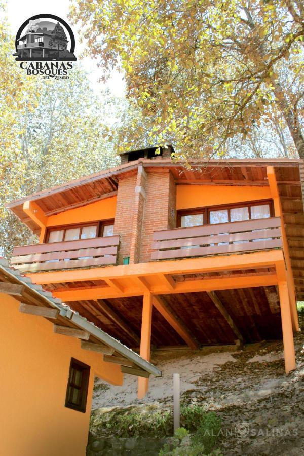 Cabanas Los Bosques Del Zembo ウアスカ・デ・オカンポ エクステリア 写真