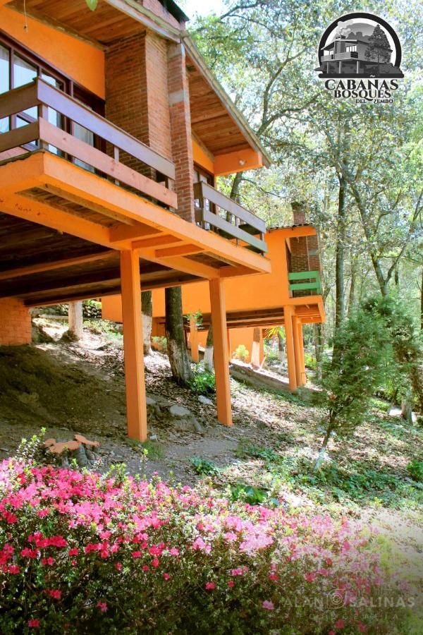 Cabanas Los Bosques Del Zembo ウアスカ・デ・オカンポ エクステリア 写真