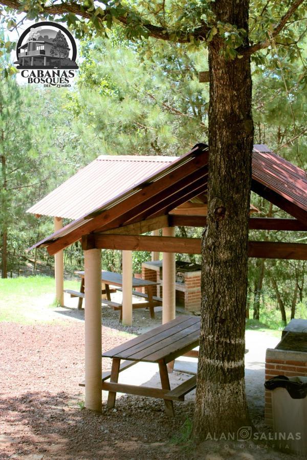 Cabanas Los Bosques Del Zembo ウアスカ・デ・オカンポ エクステリア 写真