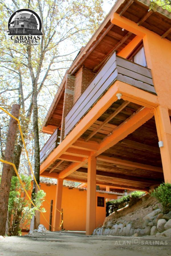 Cabanas Los Bosques Del Zembo ウアスカ・デ・オカンポ エクステリア 写真