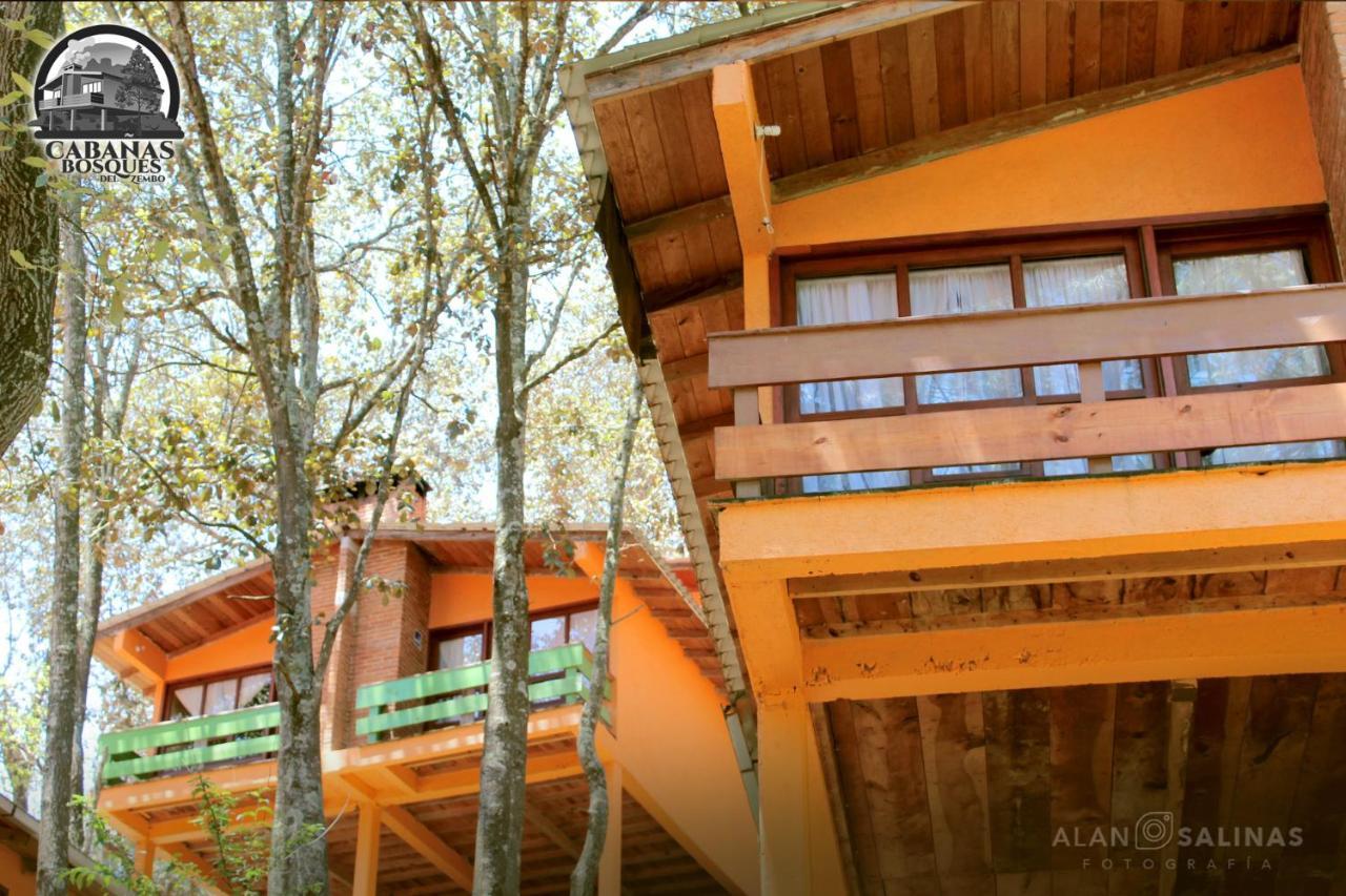 Cabanas Los Bosques Del Zembo ウアスカ・デ・オカンポ エクステリア 写真