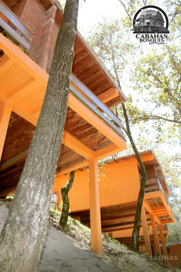 Cabanas Los Bosques Del Zembo ウアスカ・デ・オカンポ エクステリア 写真