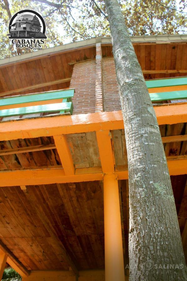 Cabanas Los Bosques Del Zembo ウアスカ・デ・オカンポ エクステリア 写真