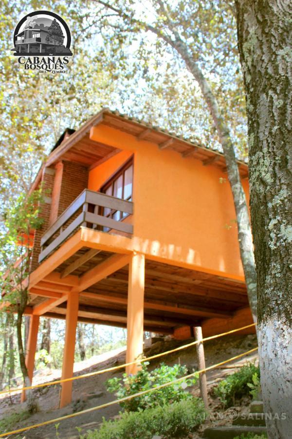 Cabanas Los Bosques Del Zembo ウアスカ・デ・オカンポ エクステリア 写真