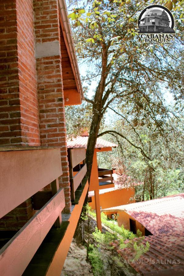Cabanas Los Bosques Del Zembo ウアスカ・デ・オカンポ エクステリア 写真